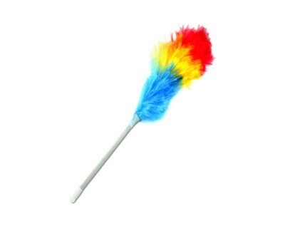 Colored Feather Duster