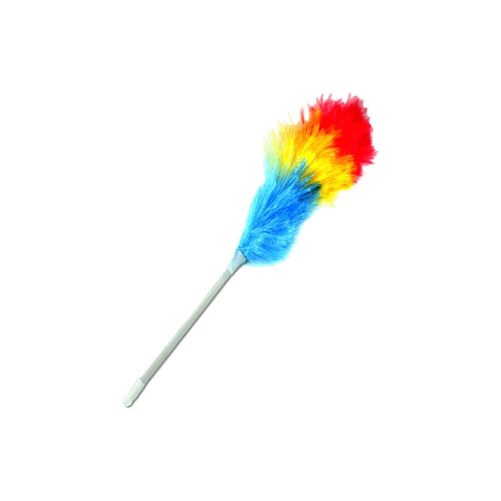 Colored Feather Duster