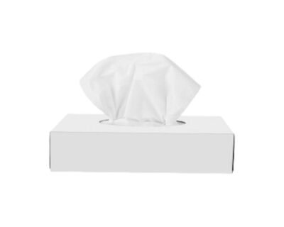 Sanita Facial Tissue Plain 100 Sheets Set Of 36 Pcs