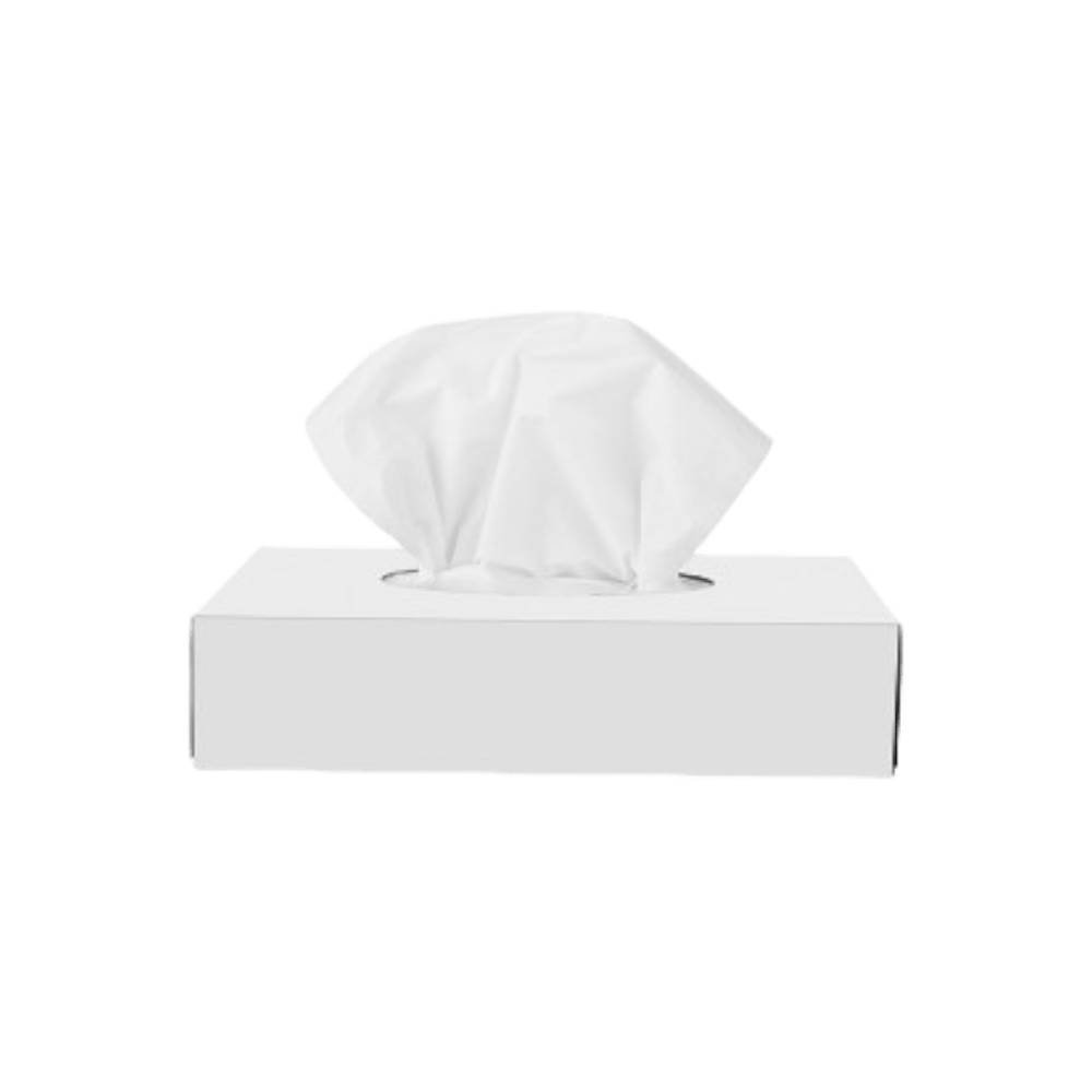 Sanita Facial Tissue Plain 100 Sheets Set Of 36 Pcs